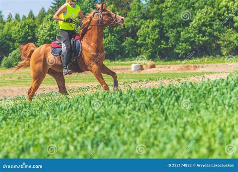 cabalgando videos .